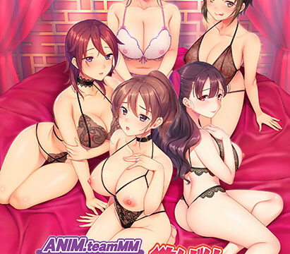 ANIM.teamMM 寝取ラレ寝取ラセ欲ばりセット 〜人気の若妻からオギャれるママまでネットリ堪能できちゃう厳選5本パック〜