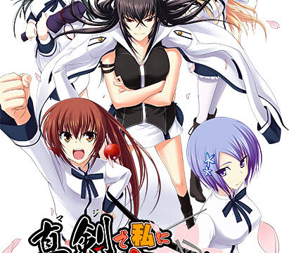 【まじこい】真剣で私に恋しなさい！【萌えゲーアワード2009 SILVER大賞受賞】