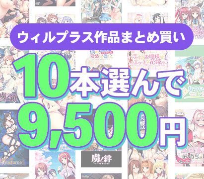 【まとめ買い】10本選んで9，500円！ウィルプラス作品まとめ買い